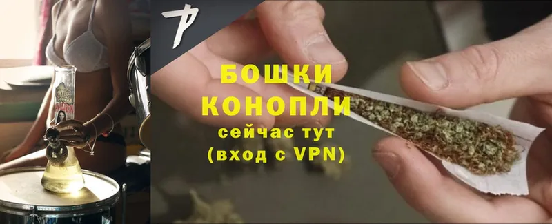 где продают наркотики  Берёзовка  Шишки марихуана Amnesia 